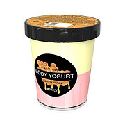 Крем-йогурт двухцветный Мёд (210 г) MILV