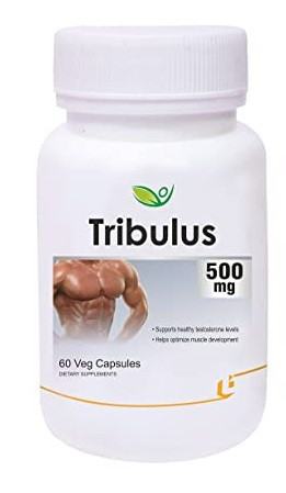 Трибулус 500мг BIOTREX, для мужчин, повышает уровень тестостерона