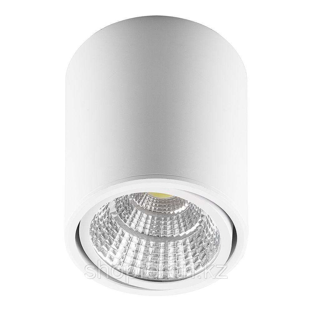 Светильник накладной светодиодный для акцентного освещения FERON AL516