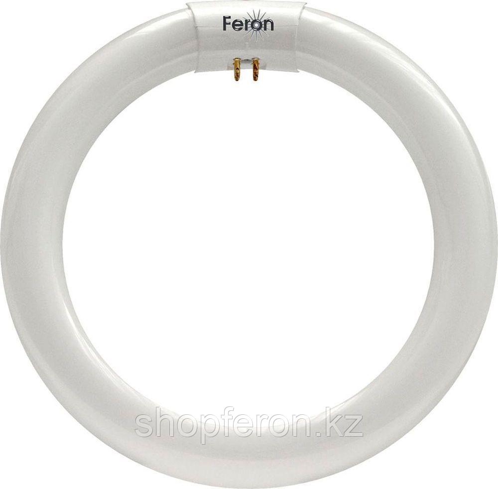 Лампа люминесцентная FERON FLU2