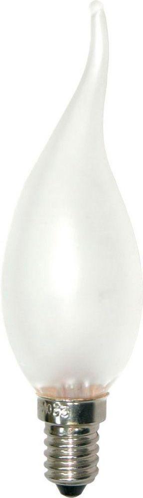 Лампа накаливания FERON INC12, фото 1