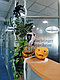 Оформление на Хелоуин, декор Helloween, фото 6