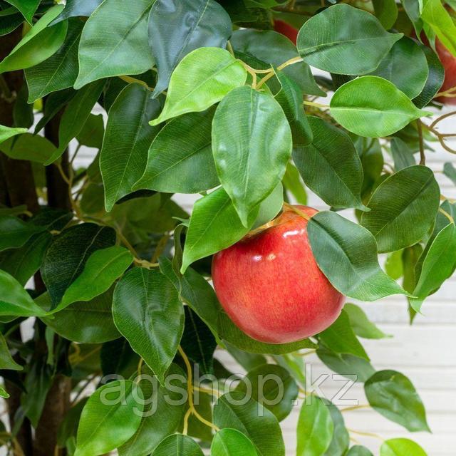 Орыс жас секс