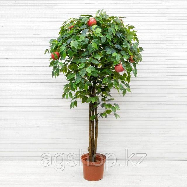 Қожайын есегін жалауды бұйырды