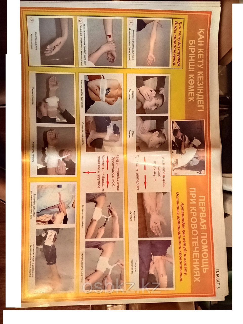Плакат по ПО и ТБ "Первая доврачебная помощь при несчастных случаях" (10пл.) - фото 8 - id-p102357358