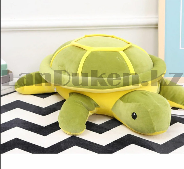 toy pillow turtle