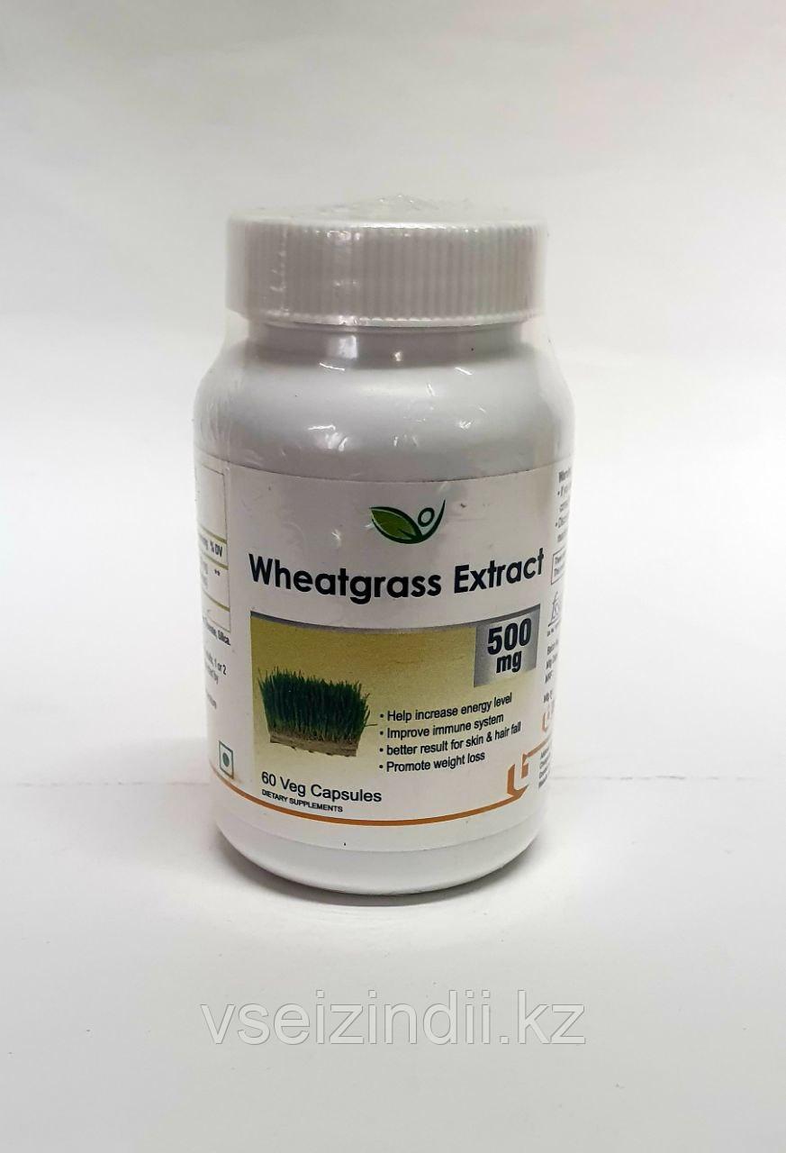 Экстракт ростков пшеницы 500мг BIOTREX, уменьшает потоотделение, выводит токсины, улучшает пищеварение