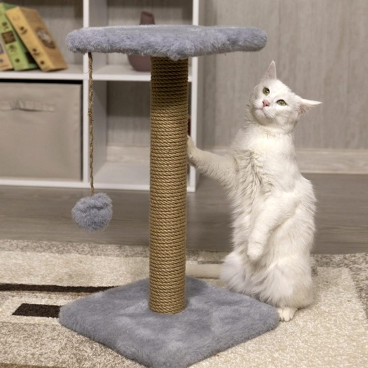 Когтеточка столбик с площадкой для кошек