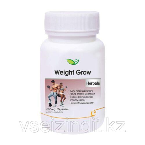 Набор веса BIOTREX, для увеличения мышечной массы и веса