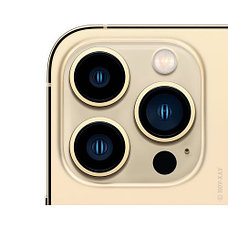 Смартфон Apple iPhone 13 Pro Max 256Gb Gold, фото 2