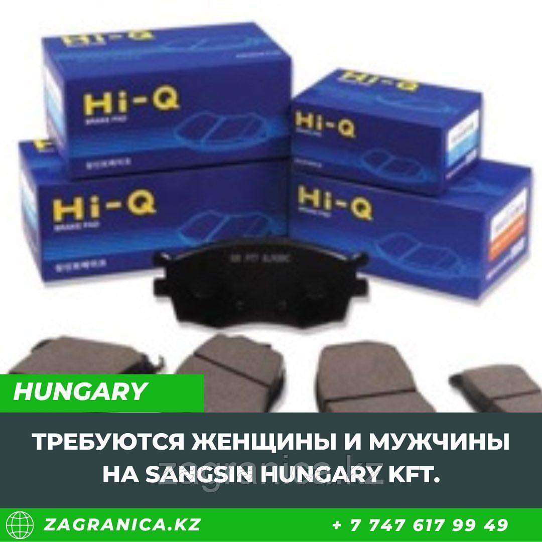 Венгрия работа на заводе Sangsin Hungary Kft.