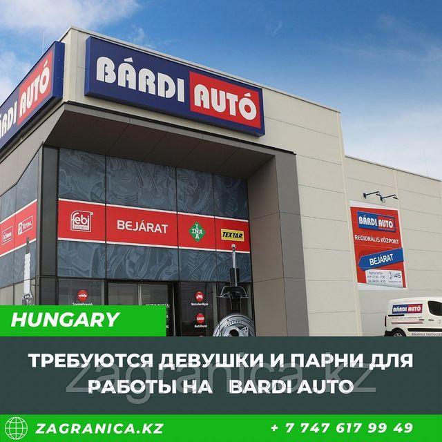Работа в Венгрии на Bardi Auto