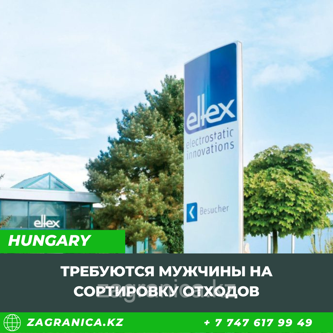 Работа в Венгрии на заводе Eltex