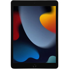 Планшет Apple iPad 10.2 2021 Wi-Fi 64Gb Space Grey, фото 2