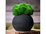 Кашпо бетонное со мхом (сфера-антарцит мох зеленый), фото 6
