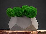 Кашпо бетонное со мхом (альфа-маренго мох зеленый), QRONA, фото 5