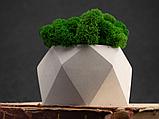Кашпо бетонное со мхом (бета-циркон мох зеленый), QRONA, фото 5