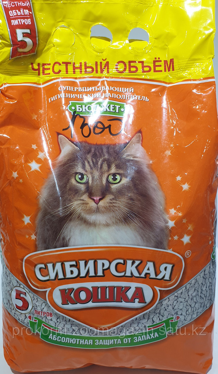 Сибирская кошка. 5 л. - фото 1 - id-p102422790