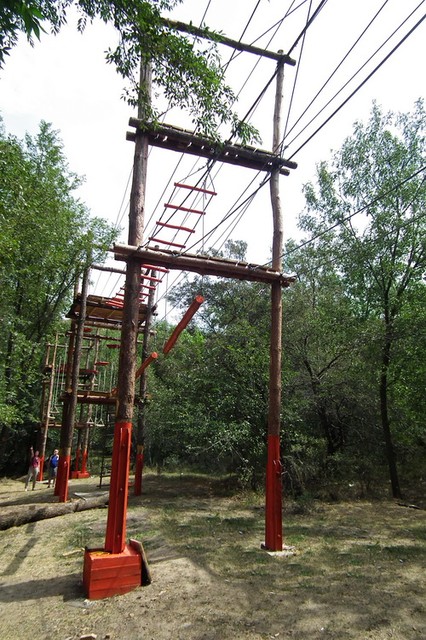 Тренинг командообразования "Веревочный курс" на веревочном парке "Росомаха"