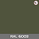 Ламинированный гипсокартон RAL 6003, фото 2