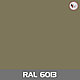 Ламинированный гипсокартон RAL 6013, фото 2