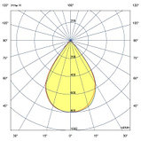 Прожектор v2.0 40 Эко 12-24V DC 4500К 60°, фото 7