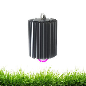 Профи v2.0 100 Фито 120°