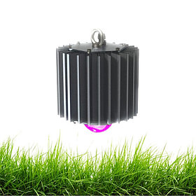 Профи v2.0 50 Фито 60°