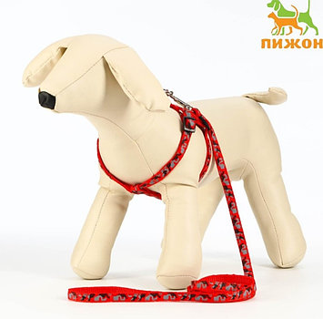 Шлейка с поводком для кошек