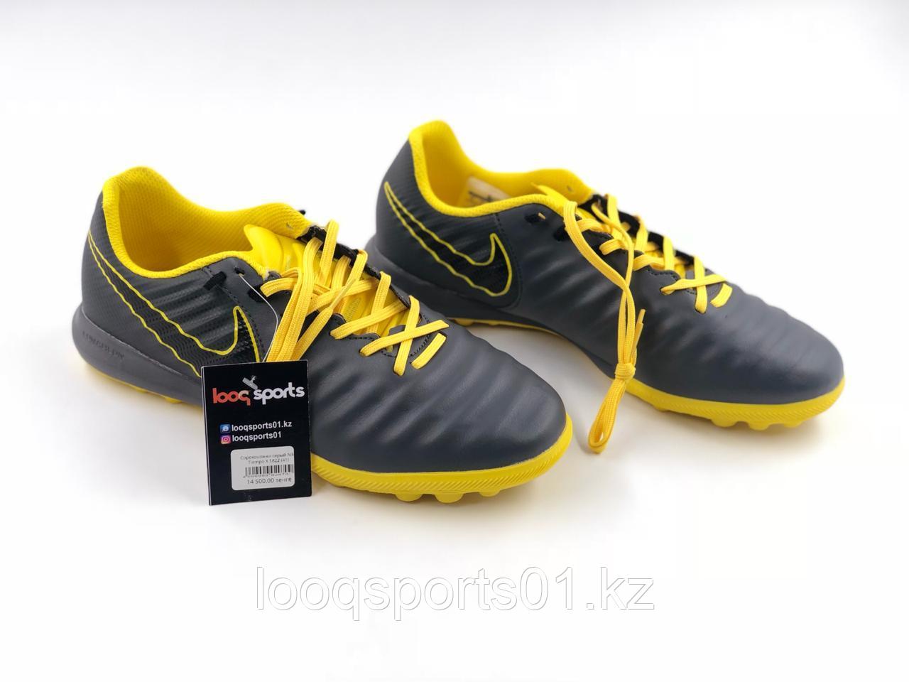 Сороконожки Nike Tiempo X 41