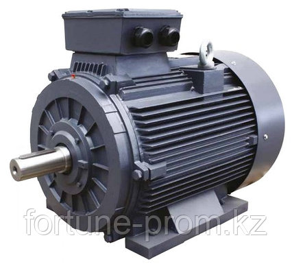 Электродвигатель T2C 180M4 POLES 4 KW 18,5 B3 V 400/690 50 HZ IP56 IE2 CAST IRON