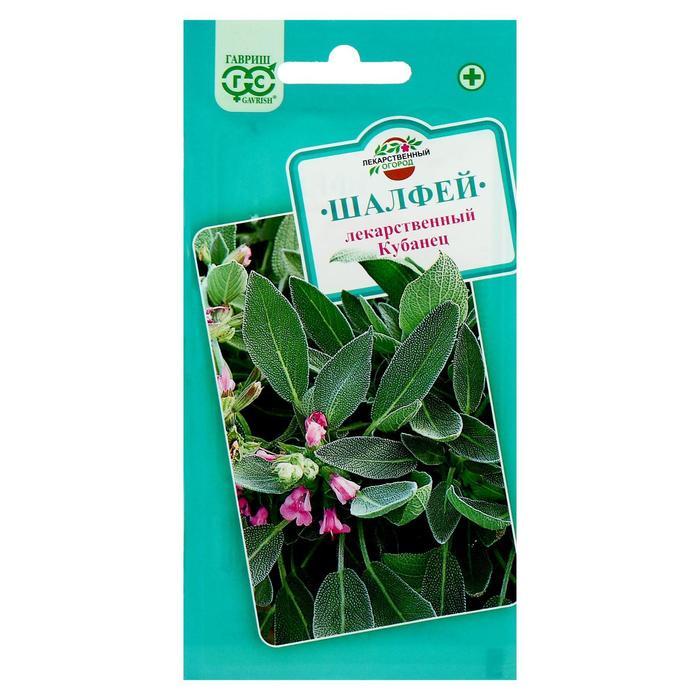 шалфей лекарственный семенами. шалфей гавриш. шалфей семена. семена шалфей лечебный кубанец. семена шалфея лекарственного.