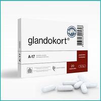 Гландокорт 20 - биорегулятор надпочечников