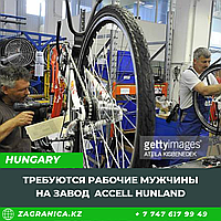 Работа в Венгрии на заводе Accell Hunland