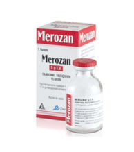Мерозан (Меропенем)  | Merozan (Meropenem) 500 мг, 1 г