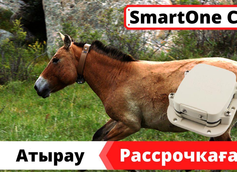 GPS ЖПС трекер для лошадей, коров, крупного рогатого скота SmartOne C - фото 1 - id-p102683579