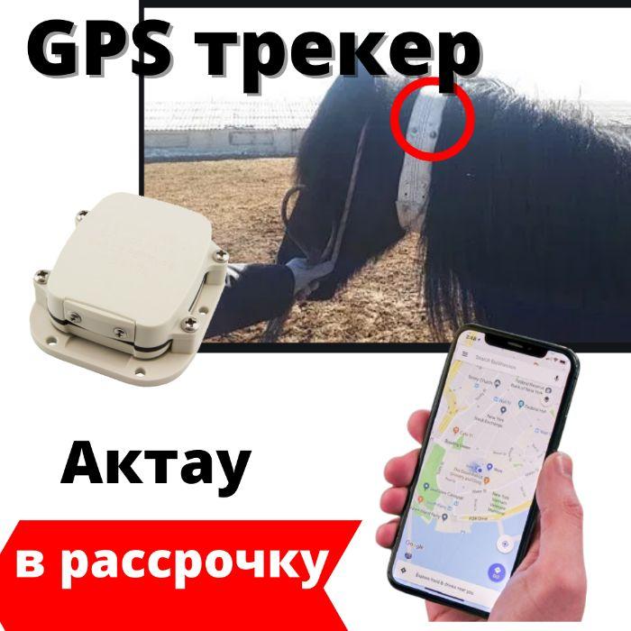 Gps құрылғы трекер маяк навигатор жылкы, туйе, айгыр, тай, байтал - фото 1 - id-p102683580