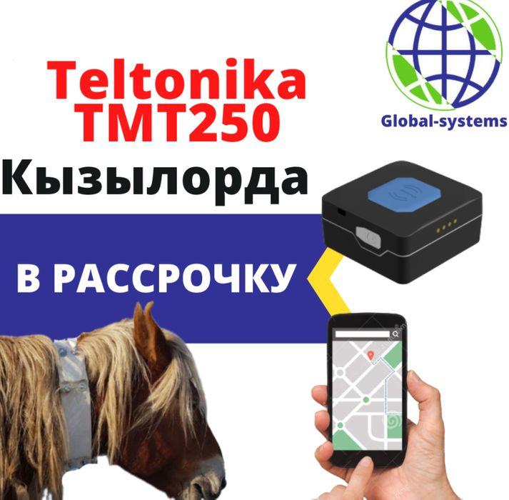 GPS трекер Teltonika TMT250 для лошадей и животных в Кызылорда - фото 1 - id-p102683583