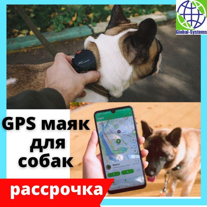 Gps трекер для собак, кошек, домашних питомцев, жпс маяк, кот, навигат - фото 1 - id-p102683584