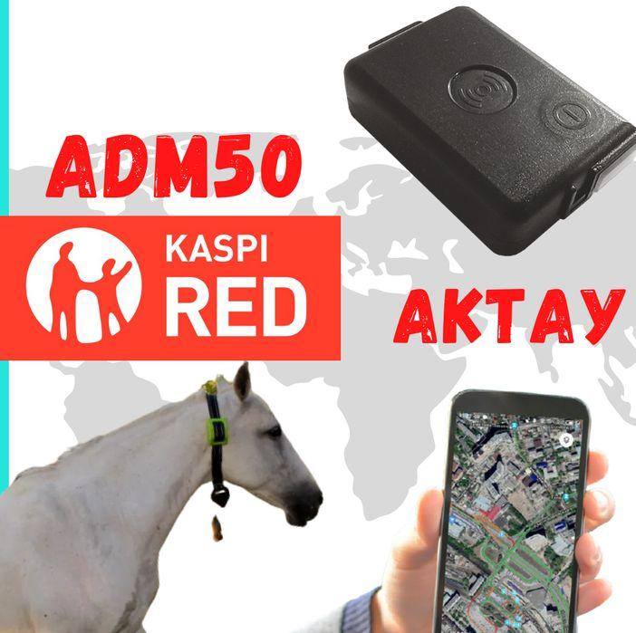 GPS трекер ADM50 для лошади, верблюды, кобылы и КРС в Актау - фото 1 - id-p102683585