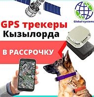 GPS ЖПС трекер для лошадей и животных в Кызылорда / спутниковый