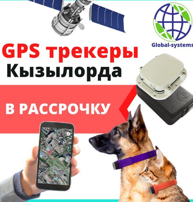 GPS ЖПС трекер для лошадей и животных в Кызылорда / спутниковый - фото 1 - id-p102683587