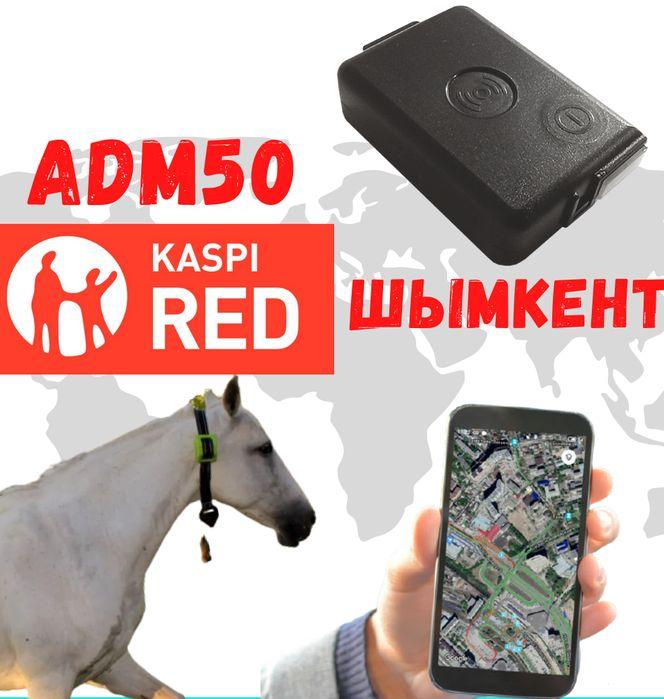 GPS трекер ADM50 для лошади, верблюды, кобылы и КРС в Шымкенте - фото 1 - id-p102683589