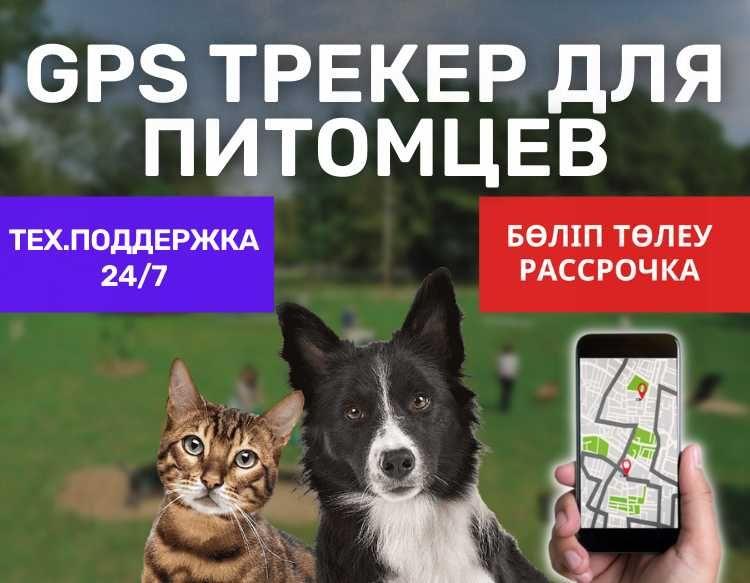 Gps Трекер Для Питомцев / Рассрочка / мониторинг собак и кошек - фото 1 - id-p102683601