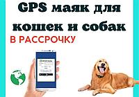 Gps Трекер для Дом питомцев/ Рассрочка/ Удобное Приложение