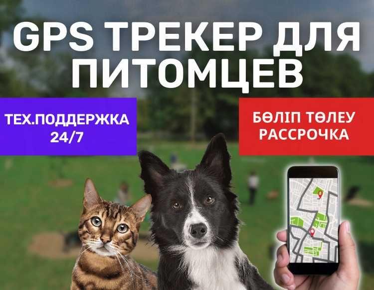Gps Трекер для Питомцев Собак Кошек / Удобное Приложение / Мониторинг - фото 1 - id-p102683606