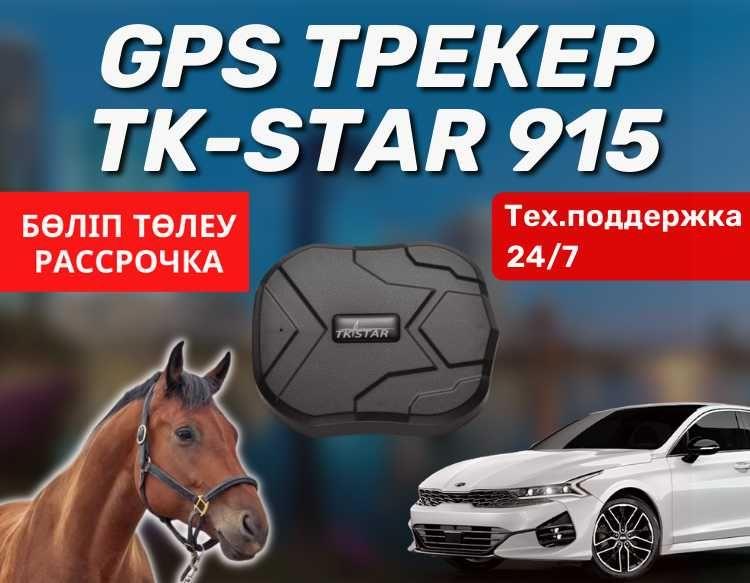GPS трекер TK-STAR 905 / мониторинг за животными,автомобилями /лошадей - фото 1 - id-p102683619