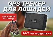 GPS ЖПС трекер для лошадей, животных / корова,быки /мониторинг - фото 1 - id-p102683622