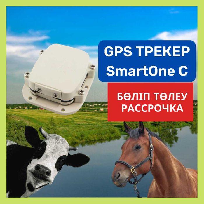 SmartOne C GPS ЖПС трекер для животных, коровы/ жануарларга сиыр,жылкы - фото 1 - id-p102683631