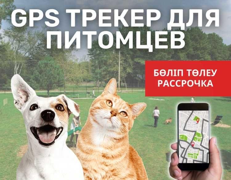GPS ЖПС трекер ит,мысык,уй жануарларына /кошки,собаки,домашние питомцы - фото 1 - id-p102683660